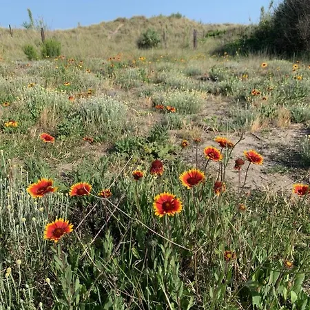 Mon Petit Paradis, Vue Sur Dunes Et Mer, Accès Direct Robinson, Terrasse, Parking Privé, Wifi, Très Ressourçant, à Apartamento Marseillan (Herault)