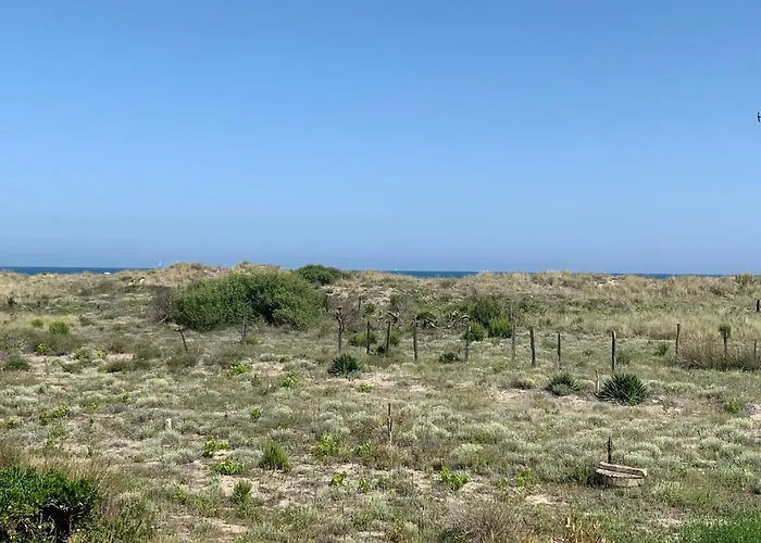 Mon Petit Paradis, Vue Sur Dunes Et Mer, Accès Direct Robinson, Terrasse, Parking Privé, Wifi, Très Ressourçant, à Appartement Marseillan (Herault)