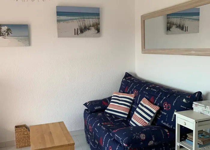 Appartement Mon Petit Paradis, Vue Sur Dunes Et Mer, Accès Direct Robinson, Terrasse, Parking Privé, Wifi, Très Ressourçant, à Marseillan (Herault)